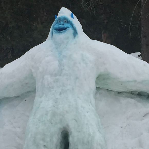 Meet your Posher, Jacob - Picture 1 of 1